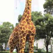 ヒメ日記 2025/10/06 15:54 投稿 森本 MadameRest(マダムレスト)