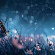 ヒメ日記 2025/10/09 10:52 投稿 森本 MadameRest(マダムレスト)