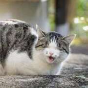 ヒメ日記 2025/10/09 12:52 投稿 森本 MadameRest(マダムレスト)