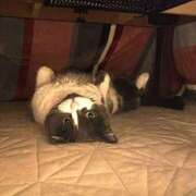 ヒメ日記 2025/10/10 17:15 投稿 森本 MadameRest(マダムレスト)