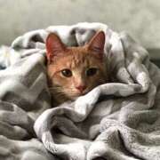 ヒメ日記 2025/10/10 23:52 投稿 森本 MadameRest(マダムレスト)