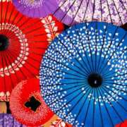 ヒメ日記 2025/10/11 09:15 投稿 森本 MadameRest(マダムレスト)