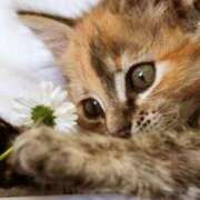 ヒメ日記 2025/10/13 08:32 投稿 森本 MadameRest(マダムレスト)