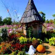 ヒメ日記 2025/10/16 10:52 投稿 森本 MadameRest(マダムレスト)