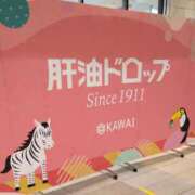 ヒメ日記 2025/10/16 17:52 投稿 森本 MadameRest(マダムレスト)