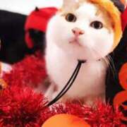 ヒメ日記 2025/10/17 07:32 投稿 森本 MadameRest(マダムレスト)