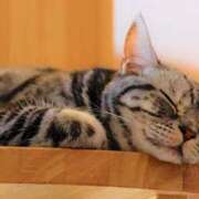 ヒメ日記 2025/10/19 02:24 投稿 森本 MadameRest(マダムレスト)