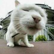 ヒメ日記 2025/10/22 00:52 投稿 森本 MadameRest(マダムレスト)