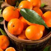 ヒメ日記 2025/10/28 23:00 投稿 森本 MadameRest(マダムレスト)