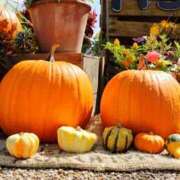 ヒメ日記 2025/10/29 07:32 投稿 森本 MadameRest(マダムレスト)