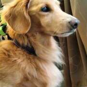 ヒメ日記 2025/10/31 16:04 投稿 森本 MadameRest(マダムレスト)