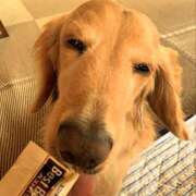 ヒメ日記 2025/11/01 13:52 投稿 森本 MadameRest(マダムレスト)