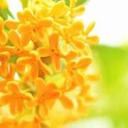 ヒメ日記 2025/11/01 16:24 投稿 森本 MadameRest(マダムレスト)