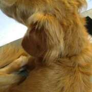 ヒメ日記 2025/11/02 03:15 投稿 森本 MadameRest(マダムレスト)