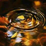 ヒメ日記 2025/11/03 15:37 投稿 森本 MadameRest(マダムレスト)