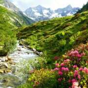 ヒメ日記 2025/11/09 16:38 投稿 森本 MadameRest(マダムレスト)