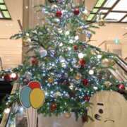 ヒメ日記 2025/11/11 13:15 投稿 森本 MadameRest(マダムレスト)