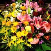 ヒメ日記 2025/11/11 19:15 投稿 森本 MadameRest(マダムレスト)