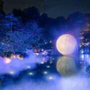 ヒメ日記 2025/11/13 00:24 投稿 森本 MadameRest(マダムレスト)