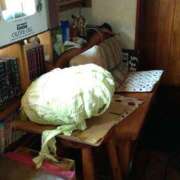 ヒメ日記 2025/11/14 16:38 投稿 森本 MadameRest(マダムレスト)