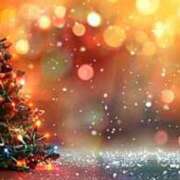 ヒメ日記 2025/11/17 09:52 投稿 森本 MadameRest(マダムレスト)