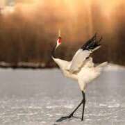 ヒメ日記 2025/11/19 16:15 投稿 森本 MadameRest(マダムレスト)