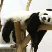 ヒメ日記 2025/11/20 15:15 投稿 森本 MadameRest(マダムレスト)