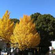 ヒメ日記 2025/11/21 07:52 投稿 森本 MadameRest(マダムレスト)