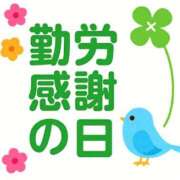 ヒメ日記 2025/11/23 17:52 投稿 森本 MadameRest(マダムレスト)