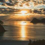 ヒメ日記 2025/11/24 10:24 投稿 森本 MadameRest(マダムレスト)