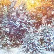 ヒメ日記 2025/11/25 12:24 投稿 森本 MadameRest(マダムレスト)