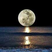 ヒメ日記 2025/11/26 00:54 投稿 森本 MadameRest(マダムレスト)