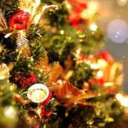 ヒメ日記 2025/11/28 07:52 投稿 森本 MadameRest(マダムレスト)