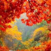 ヒメ日記 2025/12/01 12:24 投稿 森本 MadameRest(マダムレスト)