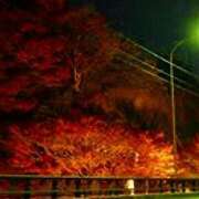 ヒメ日記 2025/12/01 17:32 投稿 森本 MadameRest(マダムレスト)