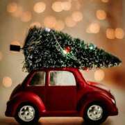 ヒメ日記 2025/12/02 12:15 投稿 森本 MadameRest(マダムレスト)