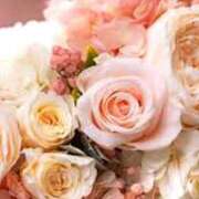 ヒメ日記 2025/12/14 20:44 投稿 森本 MadameRest(マダムレスト)