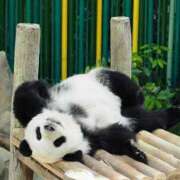 ヒメ日記 2025/12/16 14:15 投稿 森本 MadameRest(マダムレスト)