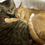 ヒメ日記 2025/12/18 08:15 投稿 森本 MadameRest(マダムレスト)