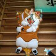 ヒメ日記 2025/12/18 12:24 投稿 森本 MadameRest(マダムレスト)