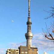 ヒメ日記 2025/12/18 15:37 投稿 森本 MadameRest(マダムレスト)