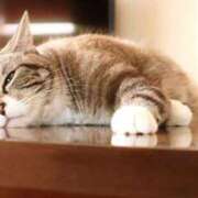 ヒメ日記 2025/12/19 08:31 投稿 森本 MadameRest(マダムレスト)