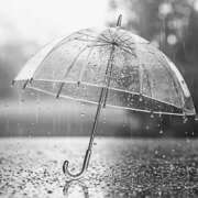 ヒメ日記 2025/12/20 20:39 投稿 森本 MadameRest(マダムレスト)