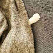 ヒメ日記 2025/12/21 07:53 投稿 森本 MadameRest(マダムレスト)