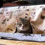 ヒメ日記 2025/12/22 21:31 投稿 森本 MadameRest(マダムレスト)