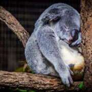 ヒメ日記 2025/12/23 00:40 投稿 森本 MadameRest(マダムレスト)