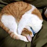 ヒメ日記 2025/12/27 01:15 投稿 森本 MadameRest(マダムレスト)