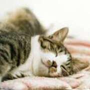 ヒメ日記 2025/12/28 01:00 投稿 森本 MadameRest(マダムレスト)