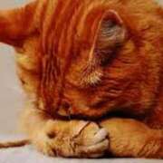 ヒメ日記 2025/12/31 01:32 投稿 森本 MadameRest(マダムレスト)