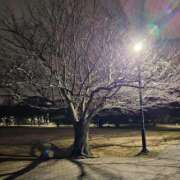 ヒメ日記 2026/01/02 20:24 投稿 森本 MadameRest(マダムレスト)